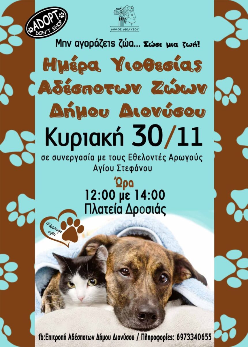 Ημέρα υιοθεσίας αδέσποτων ζώων στην πλατεία Δροσιάς