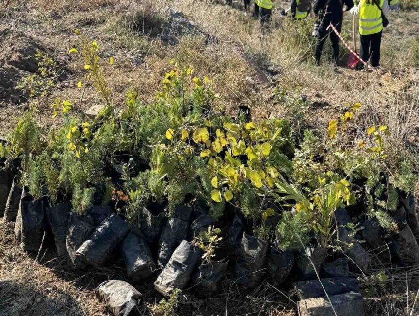 Η νέα φυτευτική περίοδος ξεκίνησε με 670 νέες φυτεύσεις δέντρων
