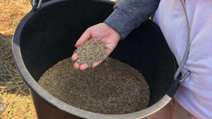 PARNHTHA_WWF Οι οικολογικοί διάδρομοι ως μέσο προστασίας της άγριας ζωής