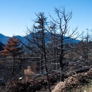 Εγκρίθηκε ο Εθνικός Χάρτης Εκτίμησης Κινδύνου Δασικών Πυρκαγιών
