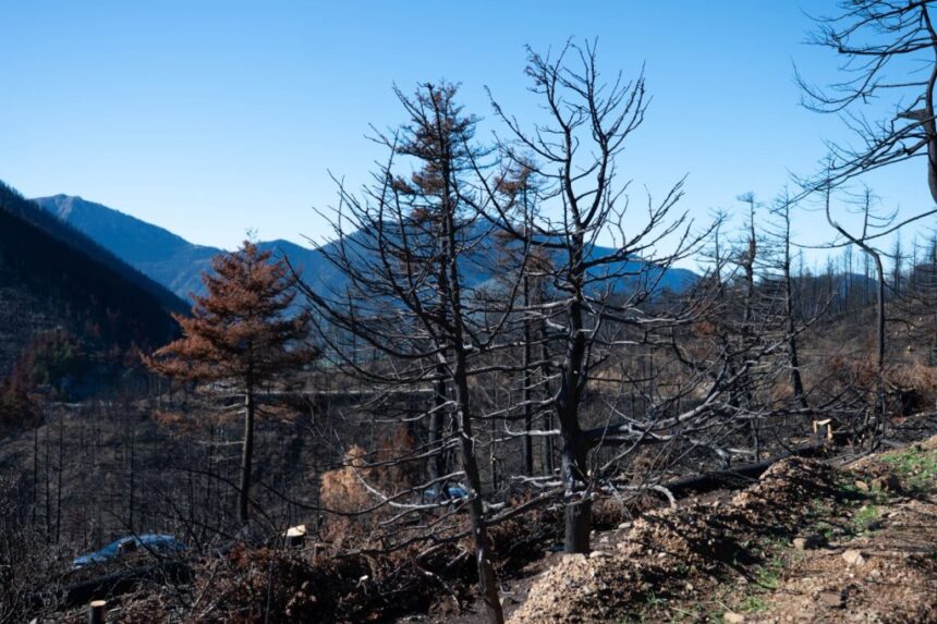 Εγκρίθηκε ο Εθνικός Χάρτης Εκτίμησης Κινδύνου Δασικών Πυρκαγιών