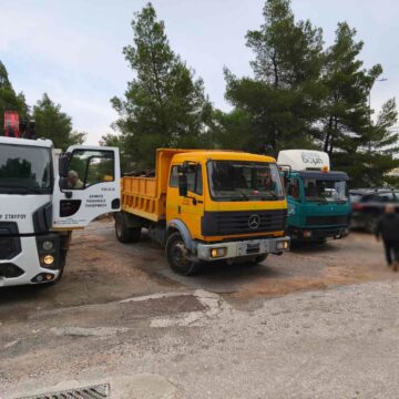 Πραγματοποιήθηκαν οι δράσεις του Δήμου για τη διανομή δωρεάν ξυλείας και κομπόστ