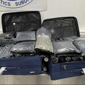 Συνελήφθησαν 3 γυναίκες που είχαν στις αποσκευές τους πάνω από 72 κιλά κάνναβης