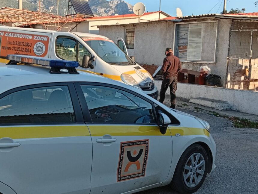 AXARNES_PROSTASIA ZOON SYNTROFIAS 2 Παράδειγμα η Δημοτική Αστυνομία Αχαρνών για την προστασία Ζώων Συντροφιάς