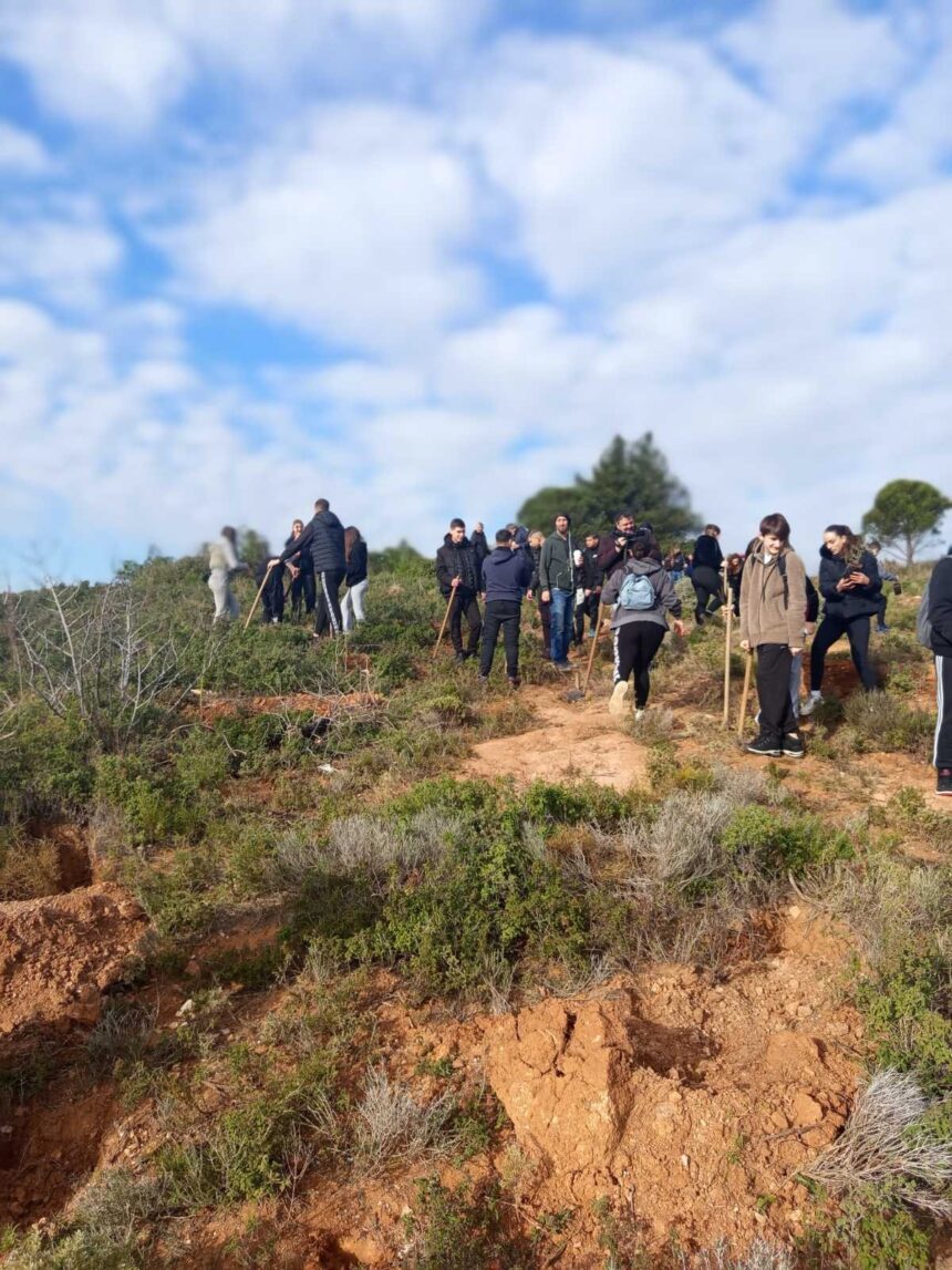 Μαθητική αναδάσωση στην Αχλαδούλα Αγίου Στεφάνου