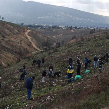 Μεγάλη δεντροφύτευση στη Δροσοπηγή Αφιδνών
