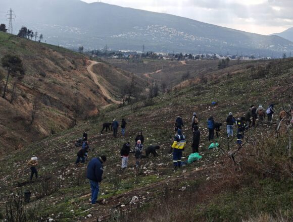 OROPOS_DENDROFYTEYSH 3 Μεγάλη δεντροφύτευση στη Δροσοπηγή Αφιδνών