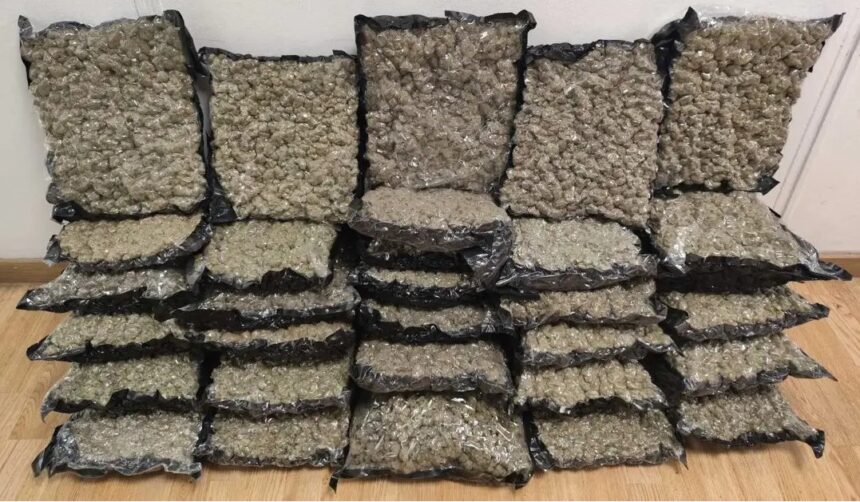 Συνελήφθη 45χρονος που επιχείρησε να εισάγει 32 κιλά ακατέργαστης κάνναβης