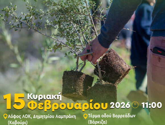 BBB_DENDROFYTEYSH Νέα διπλή δεντροφύτευση στο Καβούρι και στη Βάρκιζα