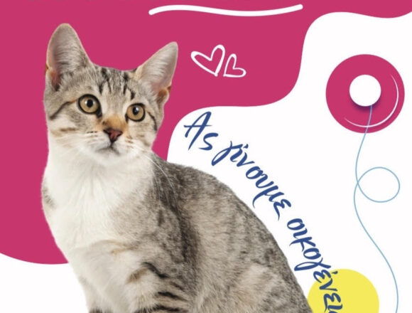 Ημέρα Υιοθεσίας Γάτας από τον Δήμο