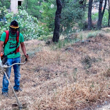 Τι αλλάζει στους καθαρισμούς των οικοπέδων