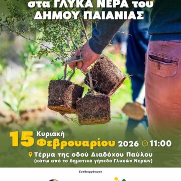 Δήμος Παιανίας και ΣΠΑΥ σε νέα δράση δενδροφύτευσης