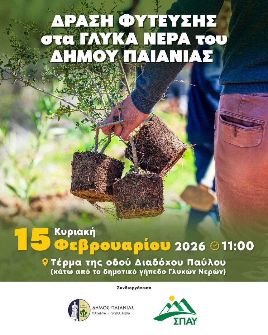 PAIANIA_DENDROFYTEYSH Δήμος Παιανίας και ΣΠΑΥ σε νέα δράση δενδροφύτευσης