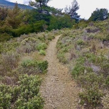Παραδόθηκαν τα νέα μονοπάτια του Υμηττού