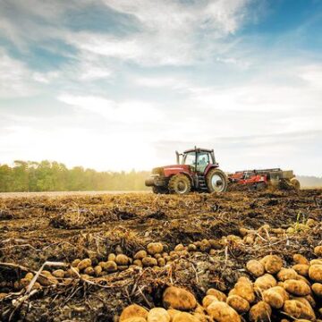 Άνοιξε η ψηφιακή εφαρμογή δήλωσης κατοχής αγροτεμαχίων για το 2025