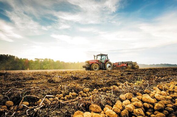 Άνοιξε η ψηφιακή εφαρμογή δήλωσης κατοχής αγροτεμαχίων για το 2025