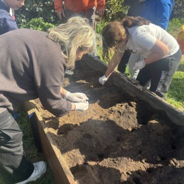 Μικροί κηπουροί στο 2ο Δημοτικό Αγίου Στεφάνου δίνουν ζωή στην παράδοση και τη φύση
