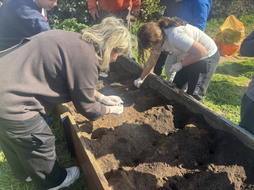 Μικροί κηπουροί στο 2ο Δημοτικό Αγίου Στεφάνου δίνουν ζωή στην παράδοση και τη φύση