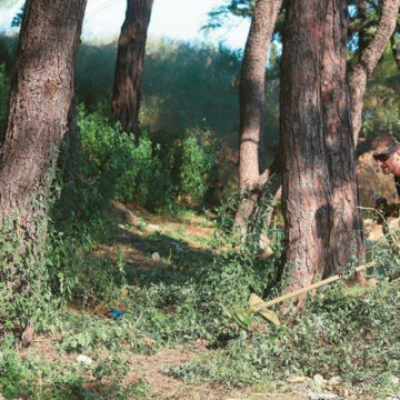 Πότε ανοίγει η πλατφόρμα, πιο αυστηροί οι έλεγχοι