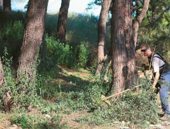 Πότε ανοίγει η πλατφόρμα, πιο αυστηροί οι έλεγχοι