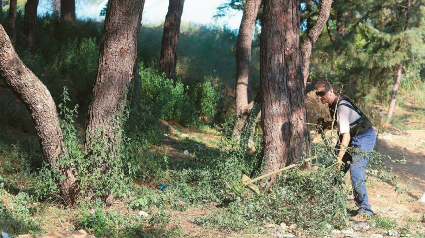 Πότε ανοίγει η πλατφόρμα, πιο αυστηροί οι έλεγχοι