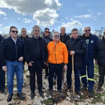 Το πράσινο είναι πηγή ζωής, είναι το οξυγόνο μας!