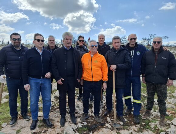 Το πράσινο είναι πηγή ζωής, είναι το οξυγόνο μας!