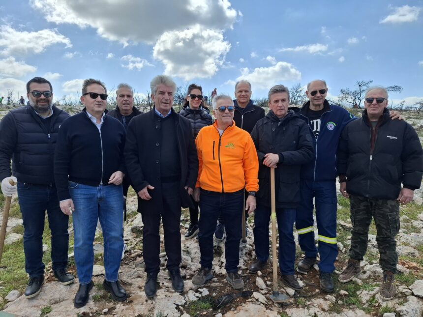 Το πράσινο είναι πηγή ζωής, είναι το οξυγόνο μας!