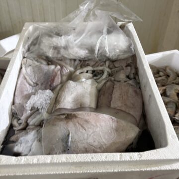 Νέο «σαφάρι» ελέγχων με εντολή του Περιφερειάρχη Αττικής