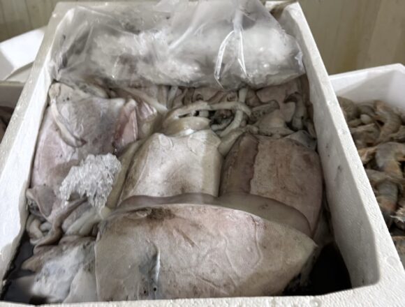 Νέο «σαφάρι» ελέγχων με εντολή του Περιφερειάρχη Αττικής