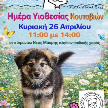 MARATHONAS_YIOTHESIA ADESPOTON Ημέρα υιοθεσίας κουταβιών στη Νέα Μάκρη