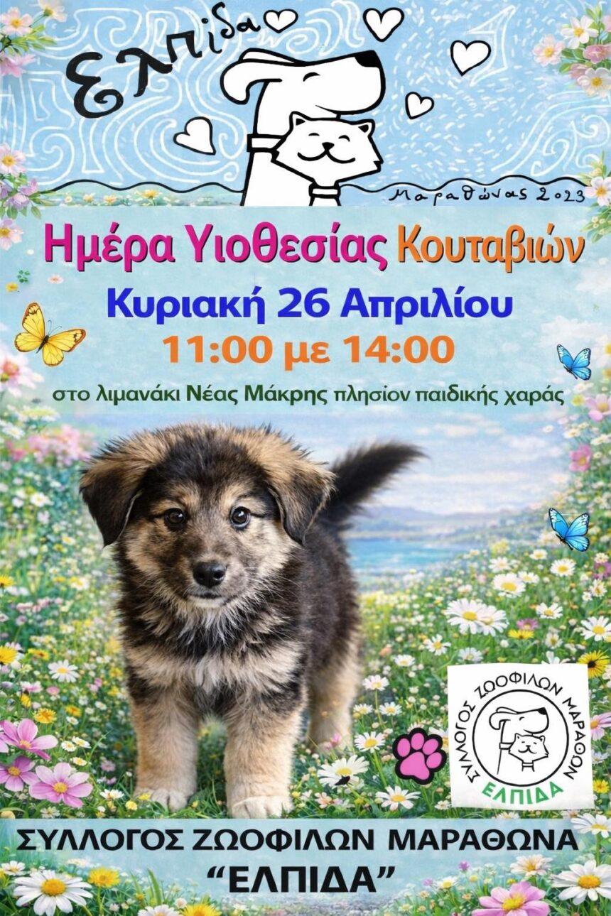 Ημέρα υιοθεσίας κουταβιών στη Νέα Μάκρη