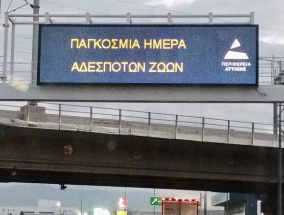 Κοινή καμπάνια με αφορμή την Παγκόσμια Ημέρα Αδέσποτων Ζώων