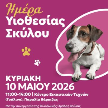 Screenshot Ημέρα Υιοθεσίας Σκύλων στον Δήμο Βάρης Βούλας Βουλιαγμένης