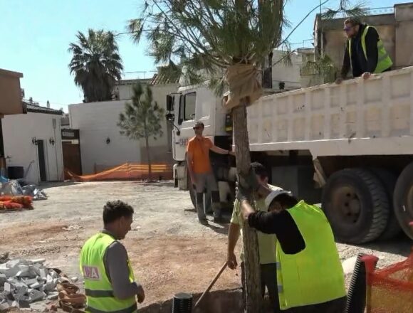 Τοποθετήθηκαν πέντε μεγάλα δέντρα στην κεντρική πλατεία