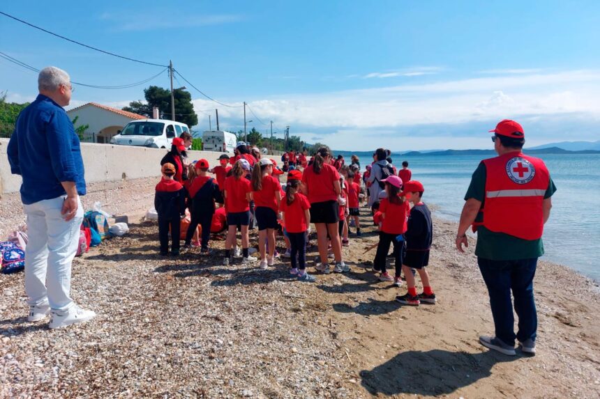 MARATHONAS_KATHARISMOS PARALIAS AGIOY PANTELEHMONA Εθελοντική δράση καθαρισμού στην παραλία Αγίου Παντελεήμονα