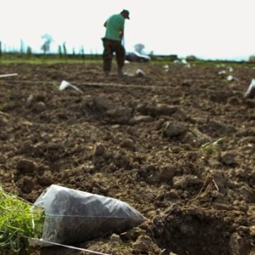 AGROTHS Τέλος στις διεκδικήσεις αγροτικών ακινήτων από το Δημόσιο