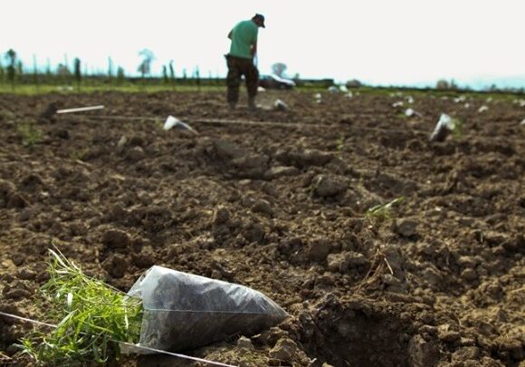 AGROTHS Τέλος στις διεκδικήσεις αγροτικών ακινήτων από το Δημόσιο