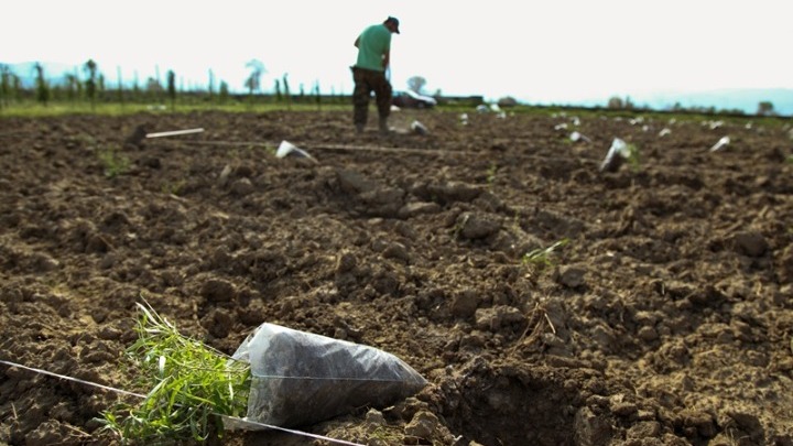 AGROTHS Τέλος στις διεκδικήσεις αγροτικών ακινήτων από το Δημόσιο