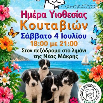 MARATHONAS_ADESPOTA Ημέρα υιοθεσίας αδέσποτων κουταβιών το Σάββατο 4 Ιουλίου