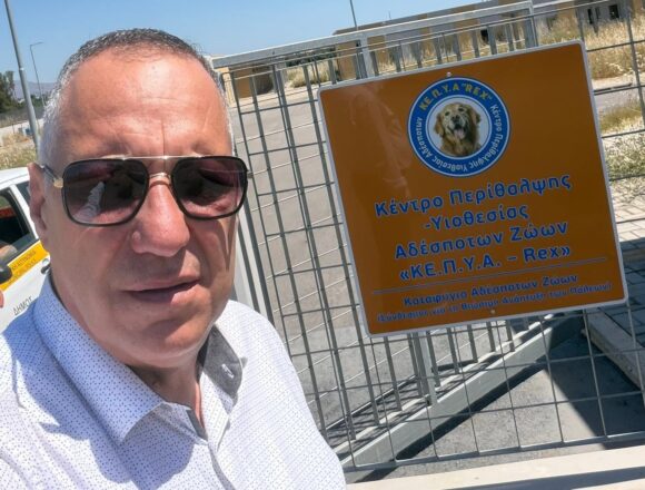 Παρεμβάσεις της Αντιδημαρχίας Δημοτικής Αστυνομίας, Διαχείρισης και Προστασίας Αδέσποτων Ζώων και Εμπορικών Δραστηριοτήτων
