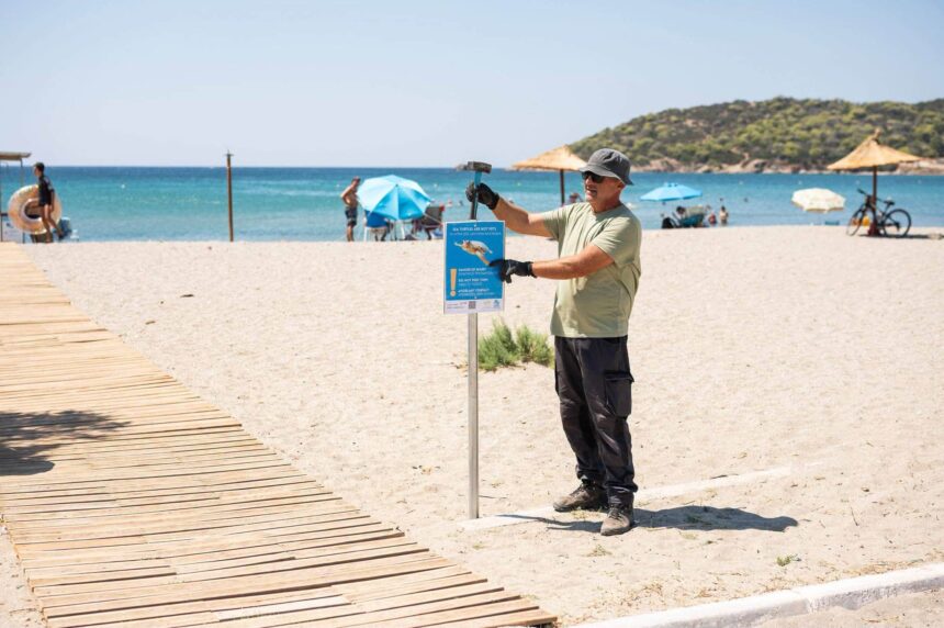 SARONIKOS_XELONES 5 Ενημέρωση των λουομένων για τις θαλάσσιες χελώνες