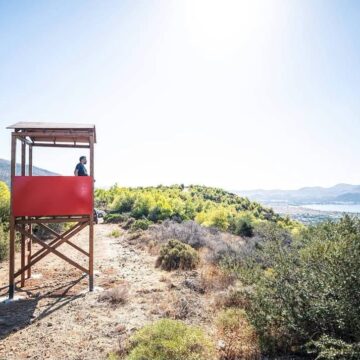 SARONIKOS_NEO PYROFYLAKIO Νέο πυροφυλάκιο στο πευκοδάσος της Σαρωνίδας