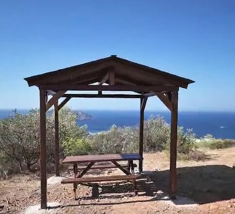 Νέα πεζοπορική διαδρομή στο πευκοδάσος της Σαρωνίδας