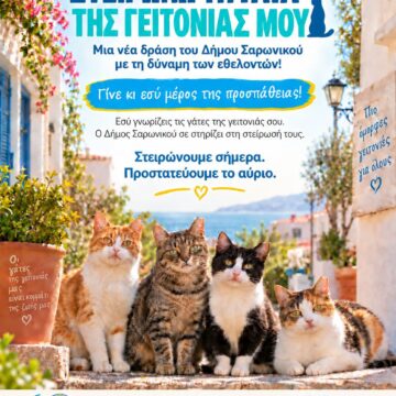 Δράση για τη στείρωση αδέσποτων γατών στον Δήμο