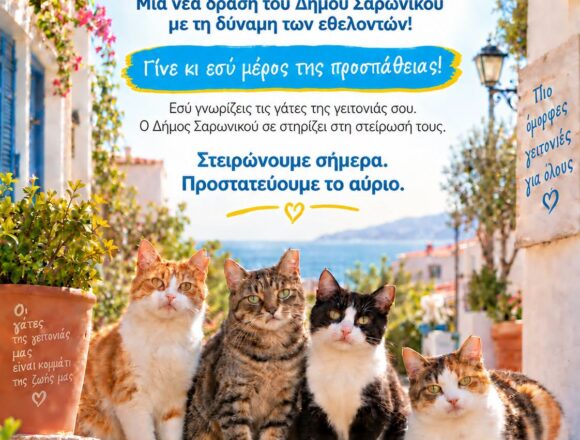 Δράση για τη στείρωση αδέσποτων γατών στον Δήμο
