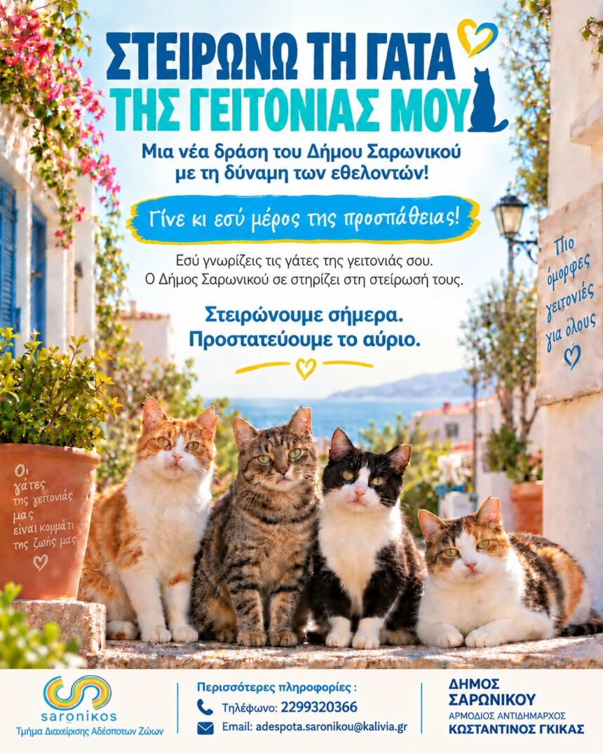 SARONIKOS_STEIROSH GATON Δράση για τη στείρωση αδέσποτων γατών στον Δήμο