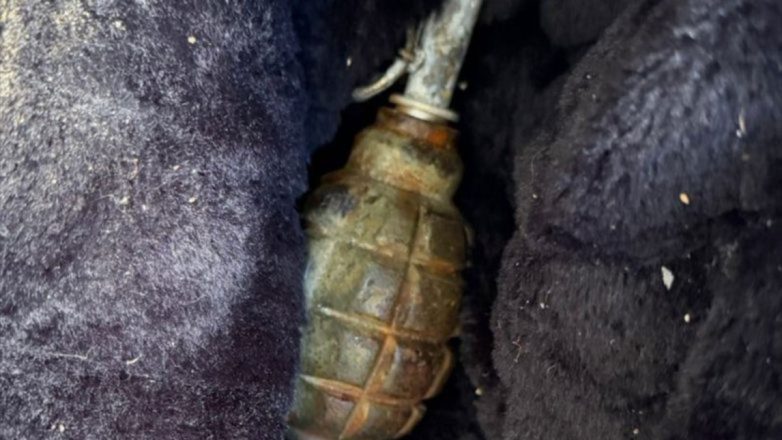 XEIROBOMBIDA Χειροβομβίδα του Β’ Παγκοσμίου Πολέμου εντοπίστηκε στη Ραφήνα